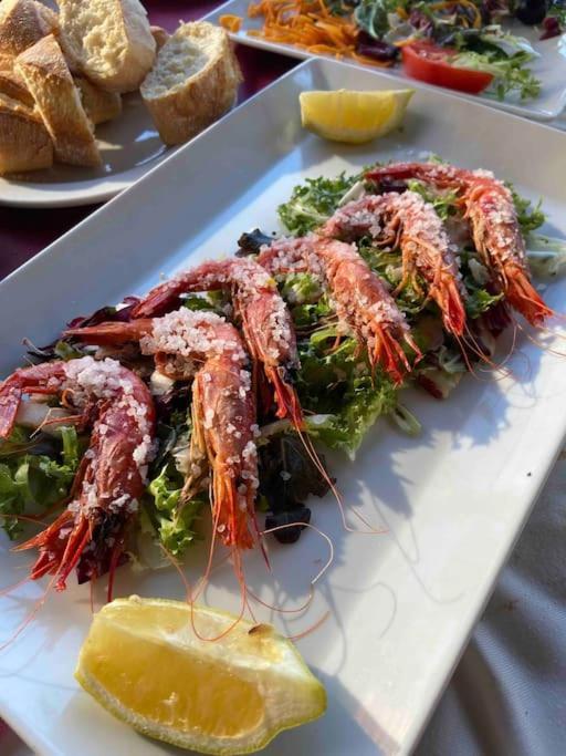 Casa Nola Lejlighed Torrevieja Eksteriør billede